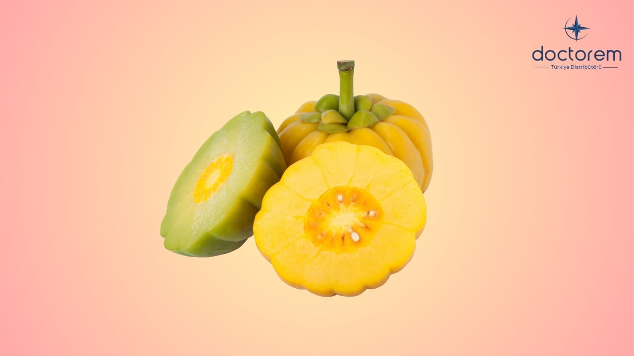 Garcinia Cambogia Nedir Gerçekten Zayıflatır mı