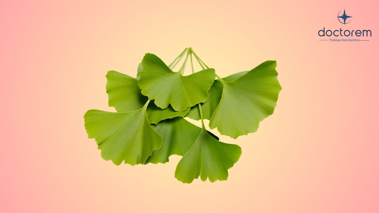 Ginkgo Biloba Nedir? Beyin Sağlığına Etkileri Nelerdir?