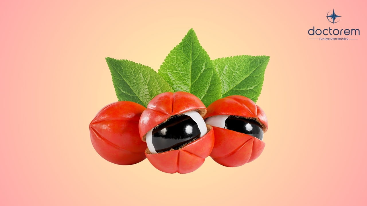 Guarana Nedir? Enerji ve Metabolizmaya Etkileri Nelerdir?