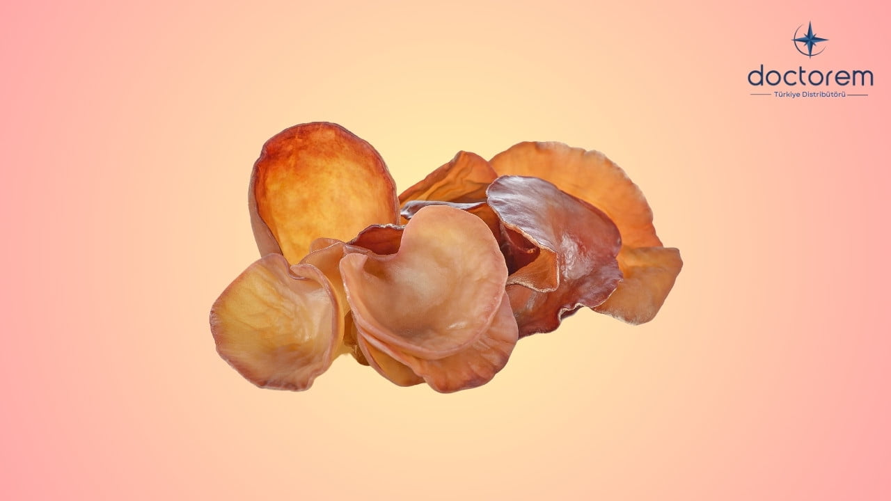 Gümüş Kulak Mantarı Nedir? Faydaları Nelerdir?