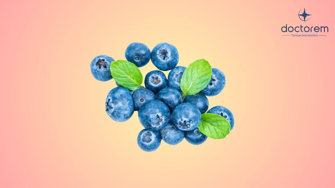 Resveratrol Nedir? Sağlık Odaklı Faydaları Nelerdir?
