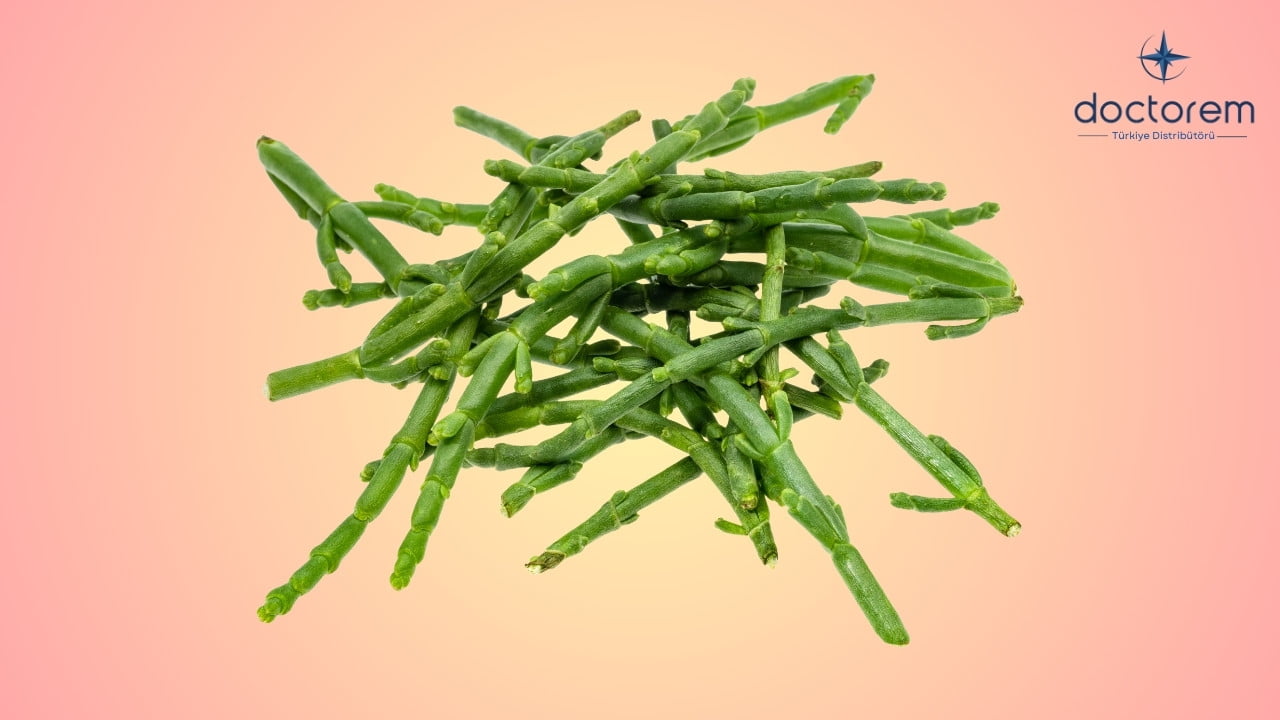 Salicornia Nedir? Deniz Fasulyesinin Zayıflama Etkileri